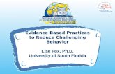Evidence Based Practices to Reduce Challenging Behavior