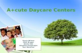 Acute Daycare Centers bussiness plan