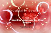 Circulatory system histology
