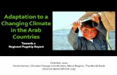 Adaptation to a changing climate in the arab countries