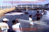 Training Manual on Sea Bass (Lates Calcarifer Culture