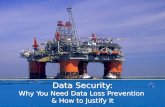 Data Security: Why You Need Data Loss Prevention & How to Justify It