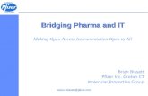 Bridging Pharma And IT 2008