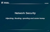G53SEC 1 Network Security Hijacking, flooding, spoofing and ...