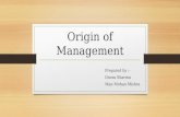 Origin of management