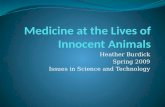 Medicine at the Lives of Innocent Animals