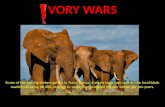 Ivory wars