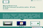 Bayberry pharmaceuticals-pvt-ltd