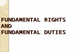4. Fundamental Rights