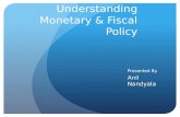 Understanding monetary & fiscal policy