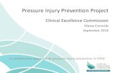 Maree Connolly, Clinical Excellence Commision - A Collaborative Approach to Pressure Injury Prevention in NSW