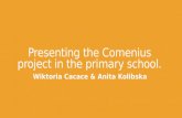 Presenting the comenius project in the primary school