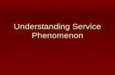 Understanding Service Phenomenon