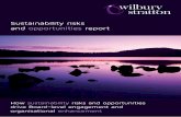 Wilbury Stratton - Sustainability Search - Report - How Sustainability Risks And Opportunities Drive Board Level Engagement And Organisational Enhancement