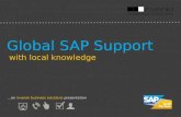 SAP Support