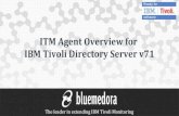 Blue Medora IBM Tivoli Monitoring (ITM) Agent for IBM Tivoli Directory Server (ITDS) Overview