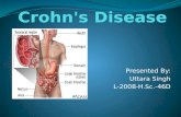 Crohn's Disease Ppt