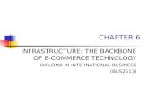 Chp 6 infrastructure- the backbone of e-commerce tech