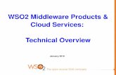 2010 Q1 WSO2 Technical Update