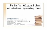 Prim's Algorithm on minimum spanning tree