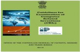 Guidelines for Examination of  Computer Related  Inventions (CRIs)