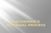 Performance appraisal process