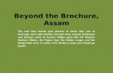 Beyond the Brochure, Assam Tour