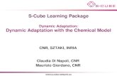 S-CUBE LP: Dynamic Adaptation: Dynamic Adaptation with the Chemical Model