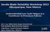 Ken Lee: 2013 Sandia National Laboratoies Wind Plant Reliability Workshop