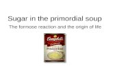 Sugar in the Primordial Soup