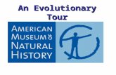 An evolutionary tour of the amnh part 3