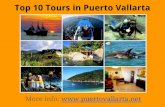 Top 10 tours in puerto vallarta