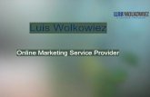 Luis wolkowiez   online marketing service provider
