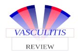 Vasculitis Review