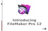 Introducing file maker pro 12