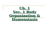 8th Grade Ch. 1 Sec. 1  Body Organization & Homeostasis