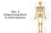 8th Grade Ch. 1 Sec. 3 Diagnosing Bone & Joint Injuries