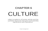 Culture (Project Management)