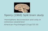 Sperry (1968) split brain study
