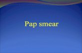 Pap smear (2)