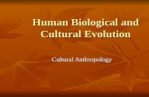 Human Biological and Cultural Evolution.