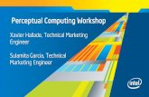 Perceptual Computing Workshop in Munich