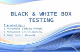 Black & White Box testing