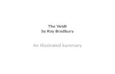 Photo Summary of "The Veldt," by Ray Bradbury