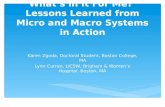 Micro and Macro Systems in Action