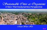 Sust cities as organisms, a new thermodynamics perspective