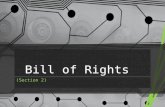 Polsc2   13 bill of rights (sec2-7)