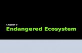Chapter 9 - Endangered Ecosystem