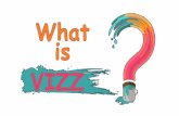 What is Vizz WiFi? A complete social media and customer management system
