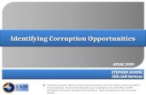 Corruption Risks Update 2009